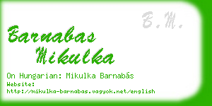 barnabas mikulka business card